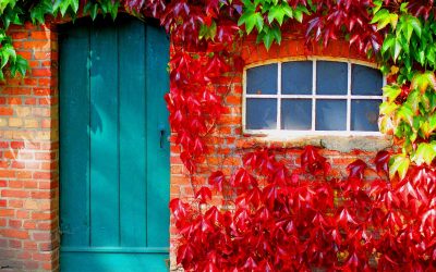 Fall & Winter Seasonal Maintenance Guide